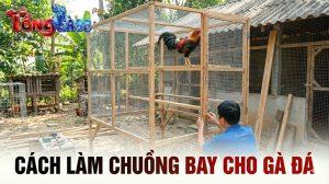 Cách Làm Chuồng Bay Cho Gà Đá