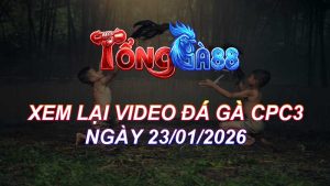 Xem Lại Video Đá Gà CPC3 Ngày 23/01/2026