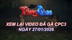 Xem Lại Video Đá Gà CPC3 Ngày 27/01/2026