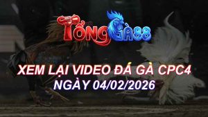 Xem Lại Video Đá Gà CPC4 Ngày 04/02/2026