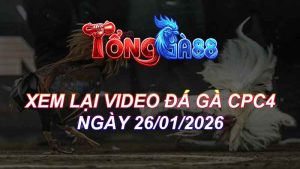 Xem Lại Video Đá Gà CPC4 Ngày 26/01/2026