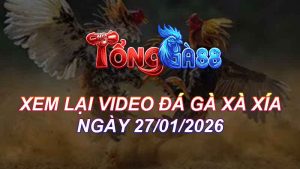 Xem Lại Video Đá Gà XAXIA Ngày 27/01/2026