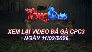 Xem Lại Video Đá Gà CPC3 Ngày 11/02/2026