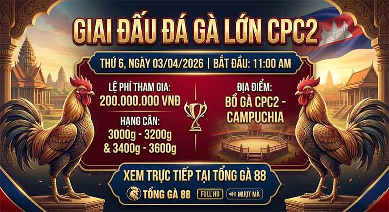 Bồ Gà CPC2 Tổ Chức Giải Đá Gà