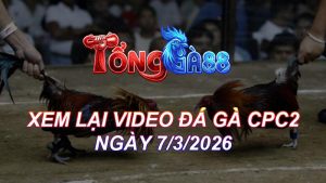 Xem Lại Video Đá Gà CPC2 Ngày 07/03/2026