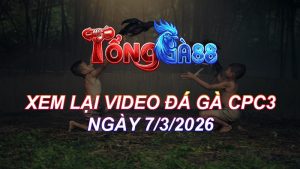 Xem Lại Video Đá Gà CPC3 Ngày 07/03/2026