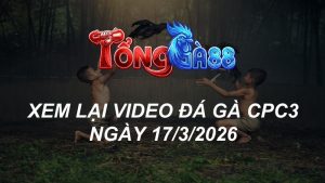 Xem Lại Video Đá Gà CPC3 Ngày 17/03/2026
