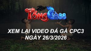 Xem Lại Video Đá Gà CPC3 Ngày 26/03/2026