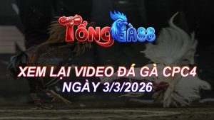 Xem Lại Video Đá Gà CPC4 Ngày 03/03/2026