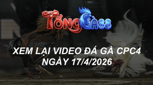 Xem Lại Video Đá Gà CPC4 Ngày 17/04/2026