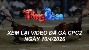 Xem Lại Video Đá Gà CPC2 Ngày 10/04/2026