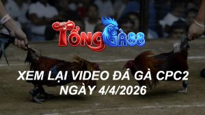 Xem Lại Video Đá Gà CPC2 Ngày 04/04/2026