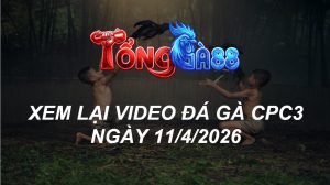 Xem Lại Video Đá Gà CPC3 Ngày 11/04/2026