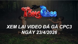 Xem Lại Video Đá Gà CPC3 Ngày 23/04/2026