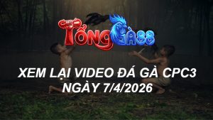 Xem Lại Video Đá Gà CPC3 Ngày 07/04/2026