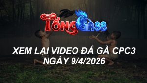 Xem Lại Video Đá Gà CPC3 Ngày 09/04/2026