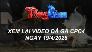 Xem Lại Video Đá Gà CPC4 Ngày 19/04/2026