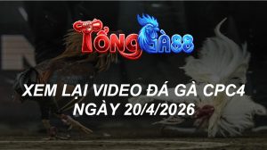 Xem Lại Video Đá Gà CPC4 Ngày 20/04/2026