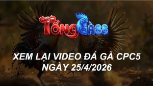Xem Lại Video Đá Gà CPC4 Ngày 25/04/2026